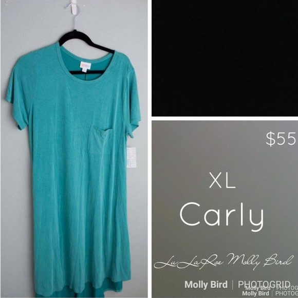 LuLaRoe Dresses & Skirts - LLR Carly XL - NWT